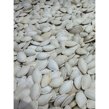 蒸熟南瓜子【約80克】