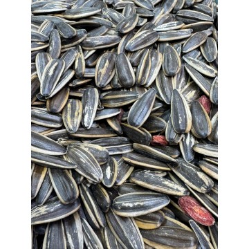 台灣桂圓葵瓜子【約80克】